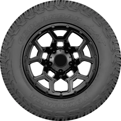 Photo - Close Up